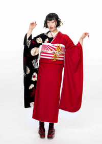 【振袖ネットレンタル：赤と黒の片身替わり】オリエンタルな個性派デザイン/KH-616