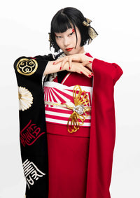 【振袖ネットレンタル：赤と黒の片身替わり】オリエンタルな個性派デザイン/KH-616