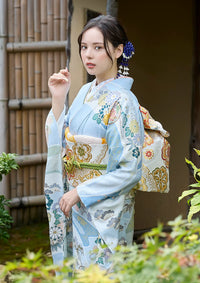 【振袖ネットレンタル：古典柄の爽やかさ】清らかさを感じる水色/FL-E312