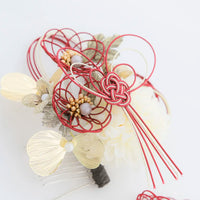 【髪飾り販売：成人式・卒業式に！赤水引とゴールドリーフの和モダン髪飾り2点セット】振袖・袴用和装ヘアアクセサリー/hair-032